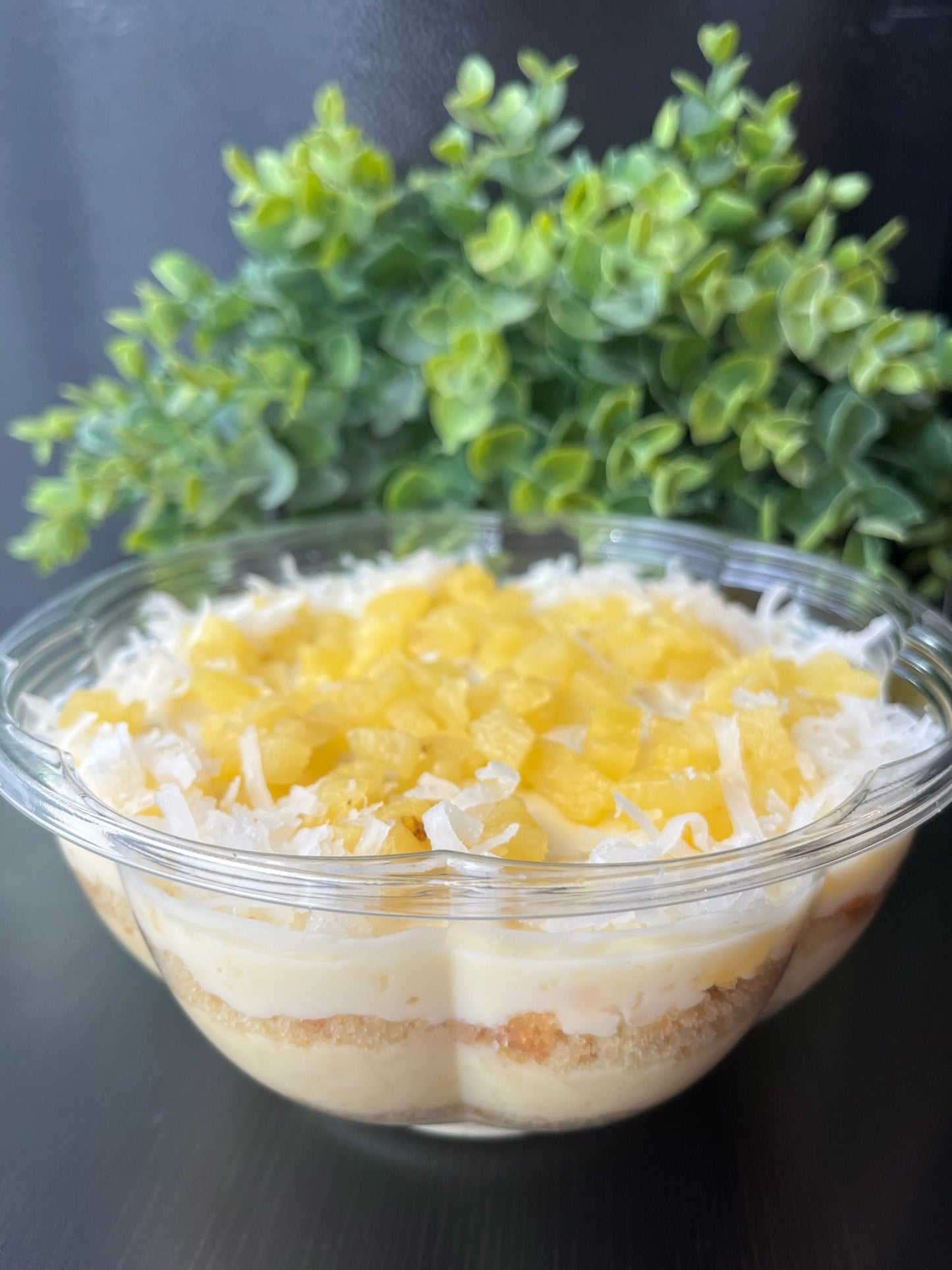 Naked Sobremesa - Tamanho Família - Creme Paris de Abacaxi e Coco Cremoso